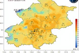 泰尔齐奇：阿莱伤了我们没法11打11结束比赛 差点就打进制胜球